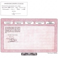 Acercar imagen: certificate 22
