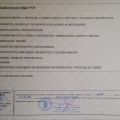 Acercar imagen: certificate 3
