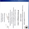 Acercar imagen: certificate 13