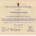 Acercar imagen: certificate 10
