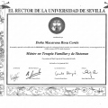 Acercar imagen: certificate 3