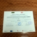 Acercar imagen: certificate 17