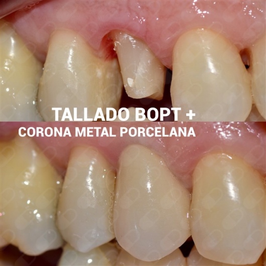 Paco Dominguez Moreno-16