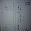 Acercar imagen: certificate 31