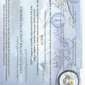 Acercar imagen: certificate 42