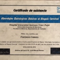 Acercar imagen: certificate 31