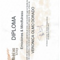 Acercar imagen: certificate 38