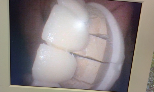 Josefina Arce Llupia-24