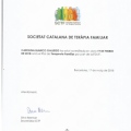 Acercar imagen: certificate 6