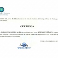 Acercar imagen: certificate 7