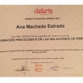 Acercar imagen: certificate 5