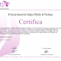 Acercar imagen: certificate 10