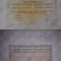 Acercar imagen: certificate 1
