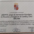 Acercar imagen: certificate 10