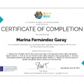 Acercar imagen: certificate 5