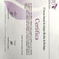 Acercar imagen: certificate 32
