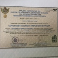 Acercar imagen: certificate 6