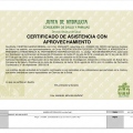 Acercar imagen: certificate 20