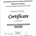 Acercar imagen: certificate 29