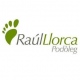 Raúl Llorca Llorca
