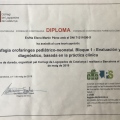 Acercar imagen: certificate 8