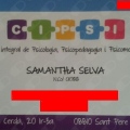 Cipsi Centre Integral de Psicologia, Psicopedagogia i PsicomotricitatSant Pere de Ribes - 