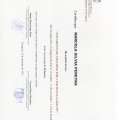 Acercar imagen: certificate 7