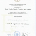 Acercar imagen: certificate 5