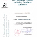 Acercar imagen: certificate 17