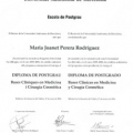 Acercar imagen: certificate 3