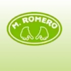 Laura Romero Cirauqui