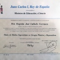 Acercar imagen: certificate 3