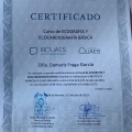 Acercar imagen: certificate 3