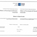 Acercar imagen: certificate 10