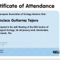 Acercar imagen: certificate 9