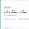 Acercar imagen: certificate 3