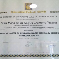 Acercar imagen: certificate 5