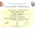 Acercar imagen: certificate 6