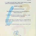 Acercar imagen: certificate 17