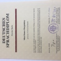 Acercar imagen: certificate 13