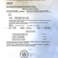 Acercar imagen: certificate 11