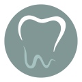 Clínica Dental Dr. WollnerVinarós - 