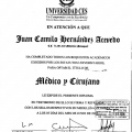 Acercar imagen: certificate 23
