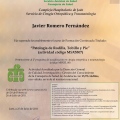Acercar imagen: certificate 25