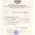 Acercar imagen: certificate 32