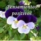 Remedios Toledo Galan