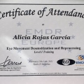 Acercar imagen: certificate 1
