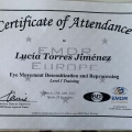Acercar imagen: certificate 2