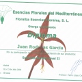 Acercar imagen: certificate 30