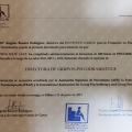 Acercar imagen: certificate 2